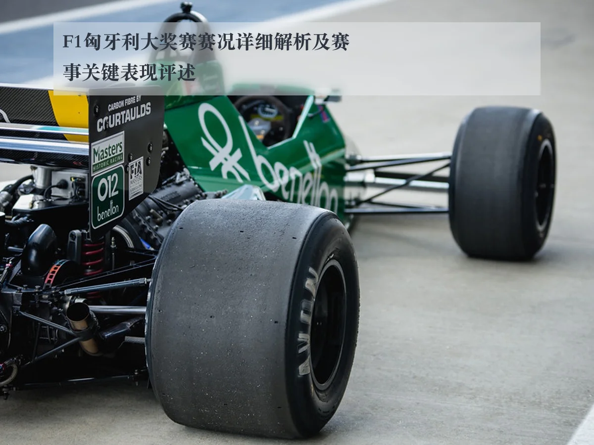 F1匈牙利大奖赛赛况详细解析及赛事关键表现评述