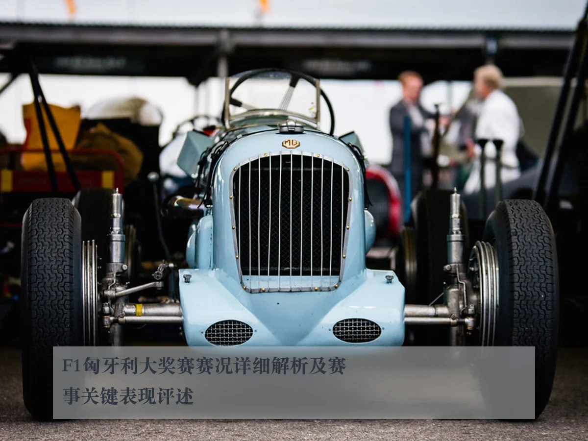 F1匈牙利大奖赛赛况详细解析及赛事关键表现评述